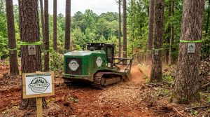 Forestry_mulcher_clearing_access